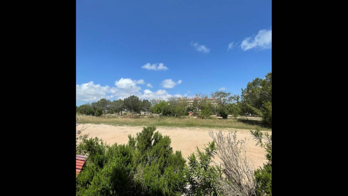 Venta - Chalet - Guardamar del Segura - Guardamar del Segura Centro