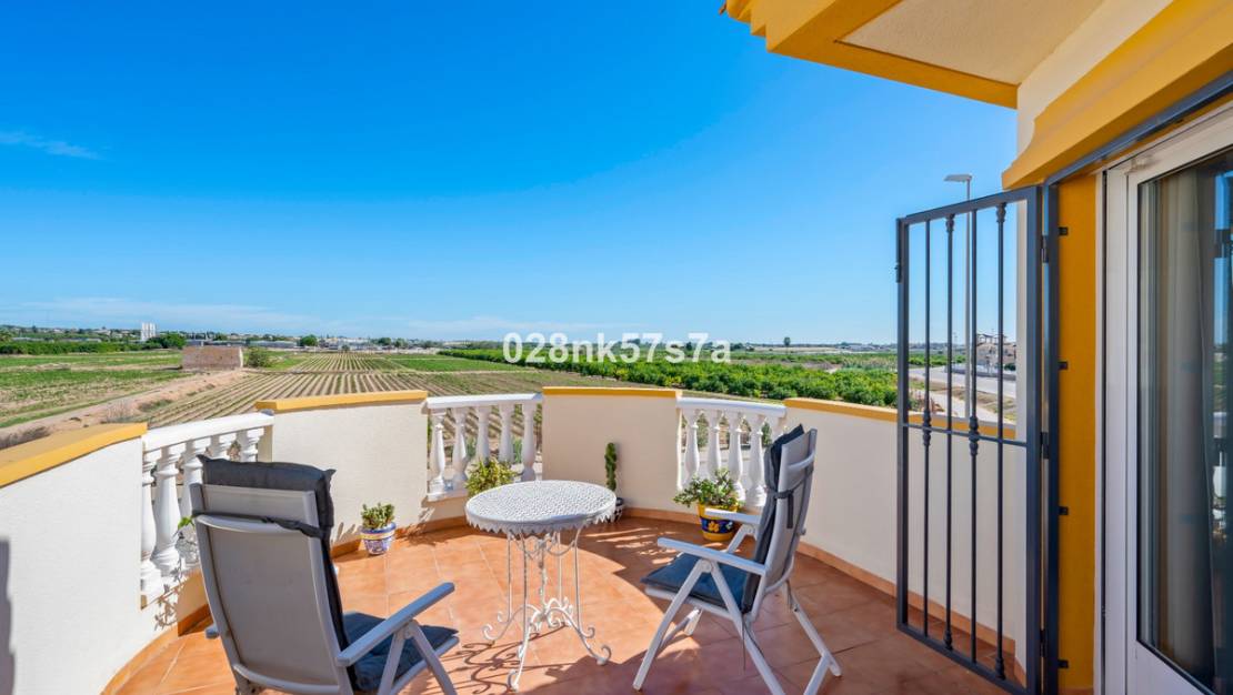 Venta - Chalet - Guardamar del Segura - Urbanización El Raso