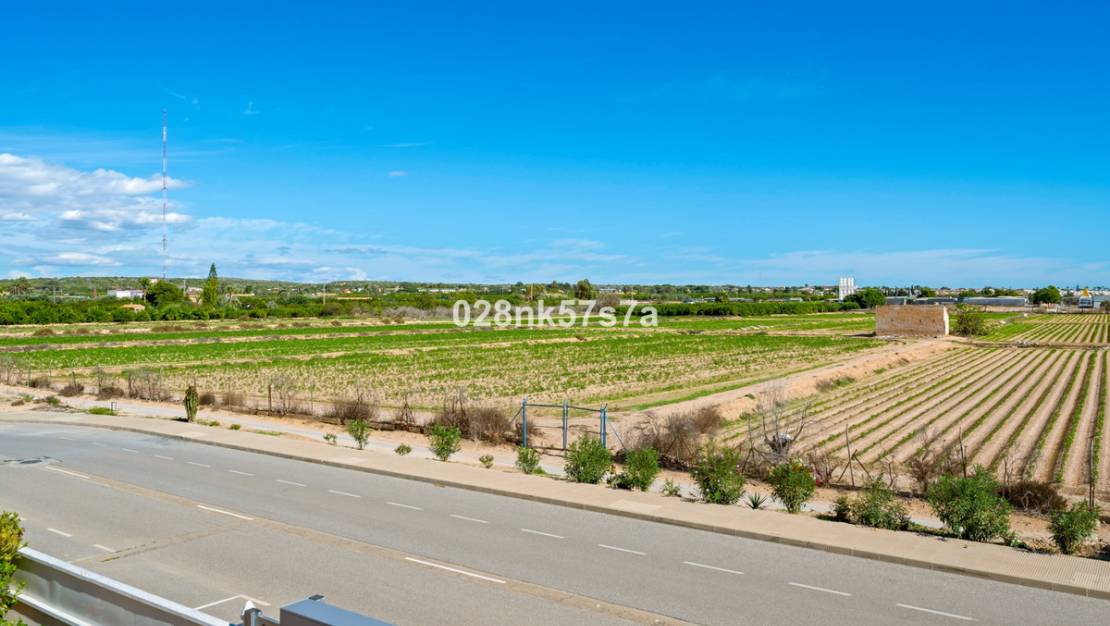 Venta - Chalet - Guardamar del Segura - Urbanización El Raso