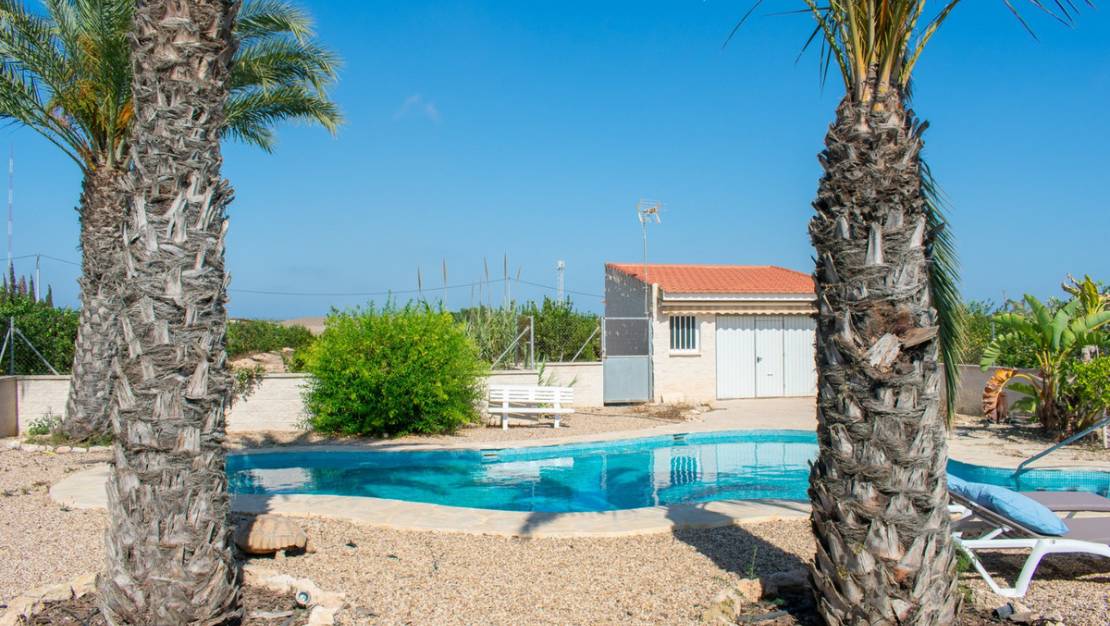 Venta - Chalet - Guardamar del Segura - Urbanización El Raso