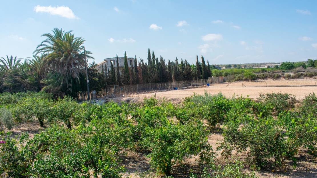 Venta - Chalet - Guardamar del Segura - Urbanización El Raso