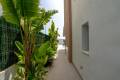 Venta - Chalet - Guardamar del Segura - Urbanización El Raso