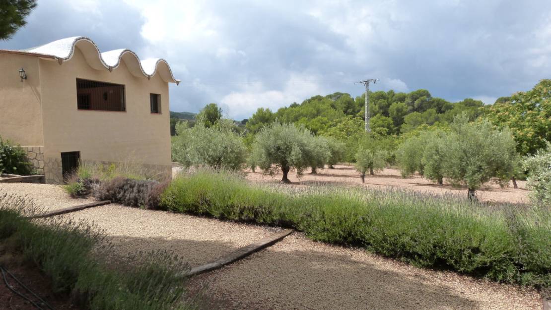 Venta - Chalet - Ibi - Ibi Centro