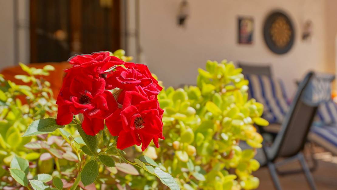 Venta - Chalet - Jávea - Xàbia - Jávea - Xàbia Centro