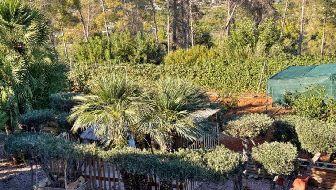 Venta - Chalet - Jávea - Xàbia - Jávea - Xàbia Centro