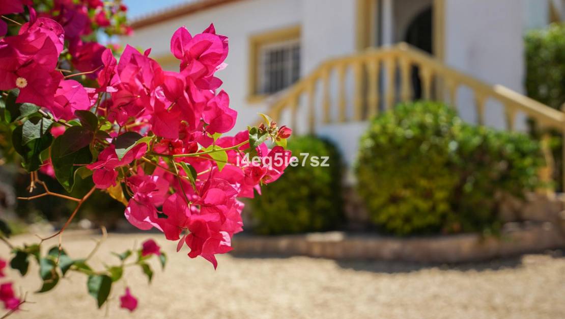 Venta - Chalet - Jávea - Xàbia - Jávea - Xàbia Centro