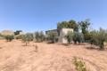Venta - Chalet - Jumilla - Jumilla Centro