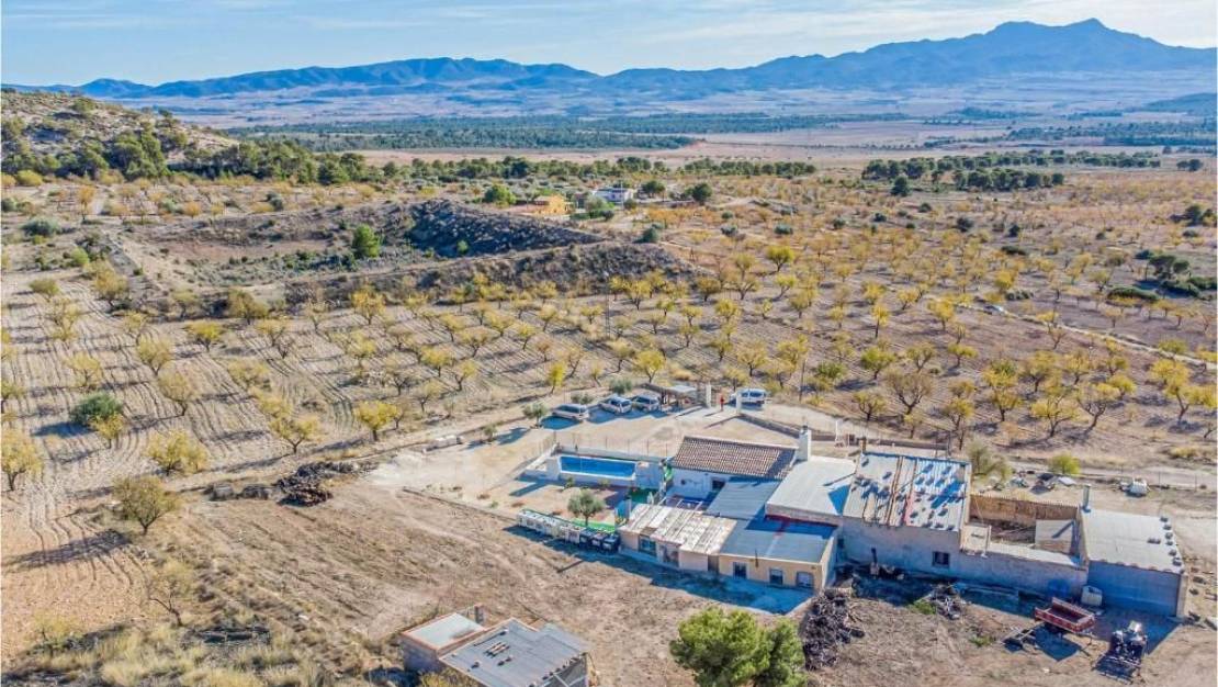 Venta - Chalet - Jumilla - Jumilla Centro