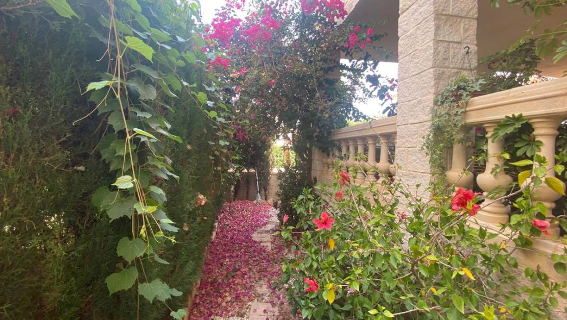 Venta - Chalet - L'Alfás del Pi - Albir