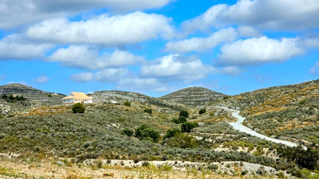 Venta - Chalet - Lorca - Lorca Centro