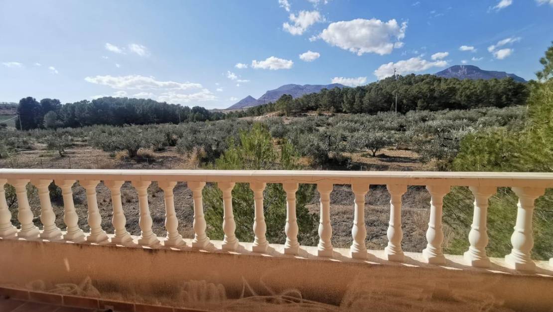 Venta - Chalet - Lorca - Lorca Centro