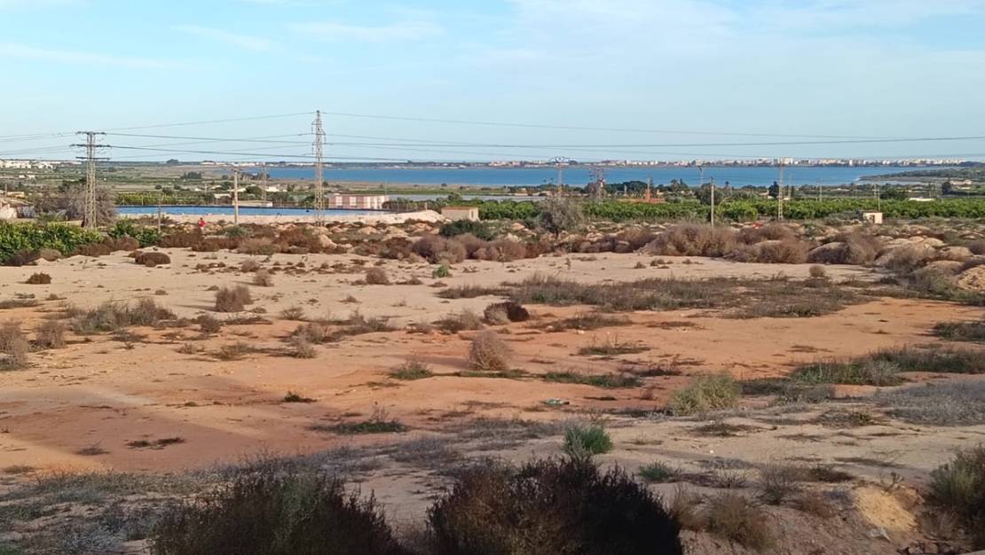 Venta - Chalet - Los Montesinos - Los Montesinos Centro