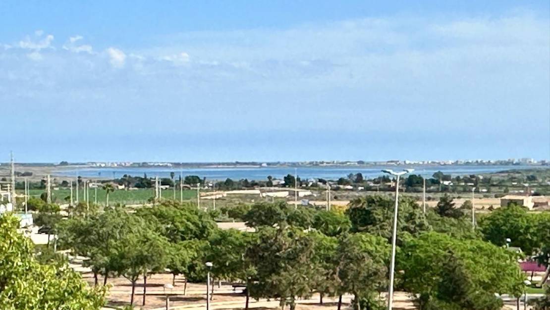 Venta - Chalet - Los Montesinos - Los Montesinos Centro