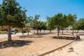 Venta - Chalet - Los Montesinos - Los Montesinos Centro