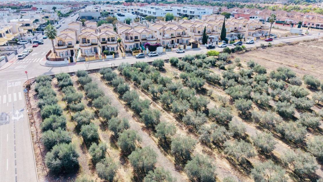 Venta - Chalet - Los Montesinos - Los Montesinos Centro