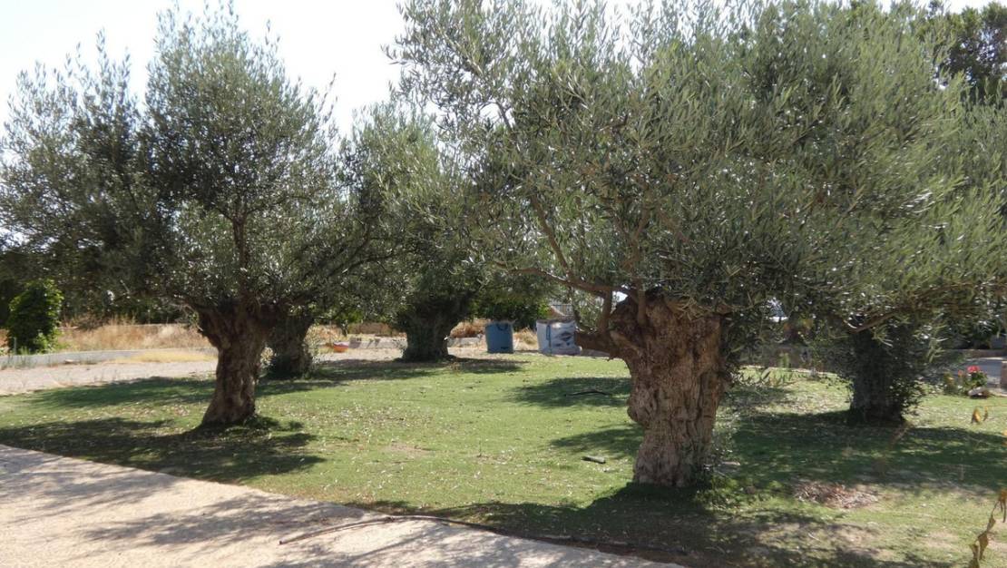 Venta - Chalet - Mazarron - La Atalaya