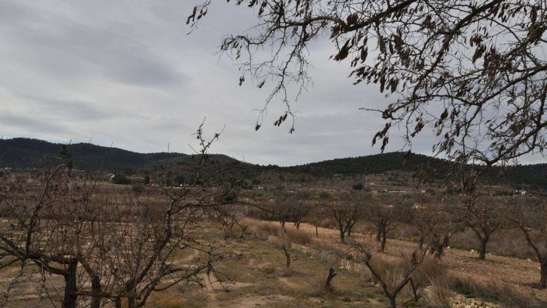 Venta - Chalet - Monóvar - Monòver - Chinorlet