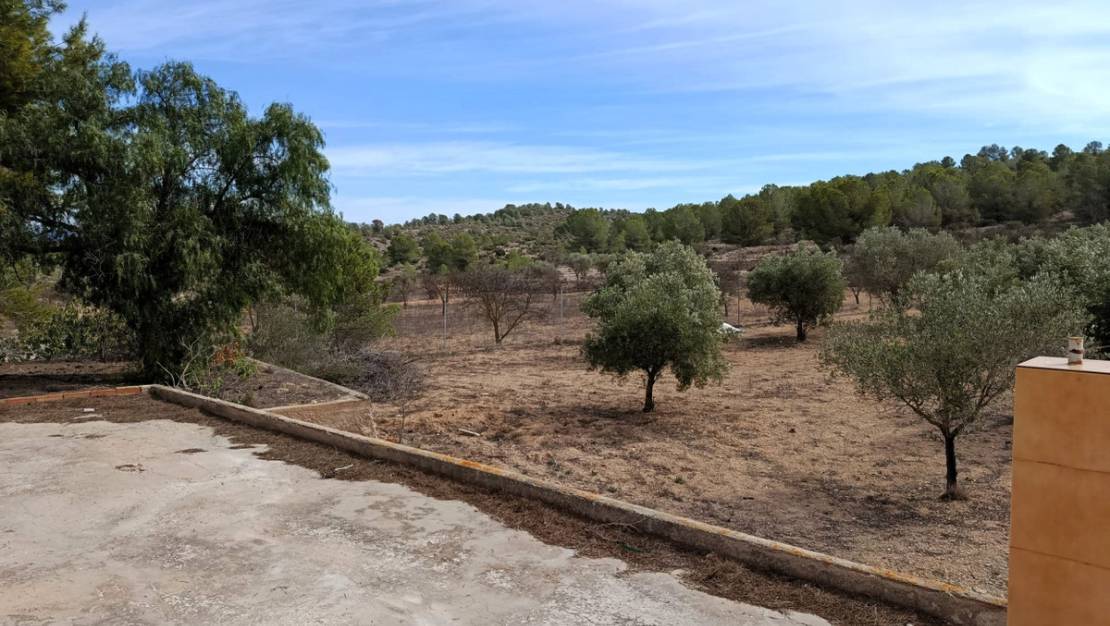 Venta - Chalet - Monóvar - Monòver - Monóvar - Monòver Centro