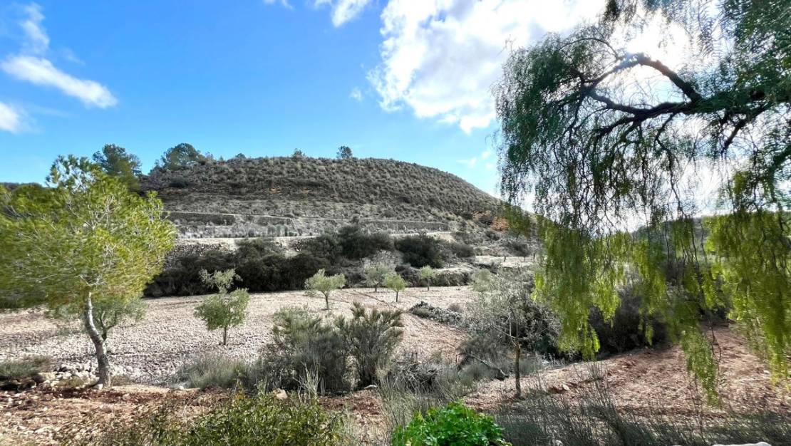 Venta - Chalet - Monóvar - Monòver - Monóvar - Monòver Centro