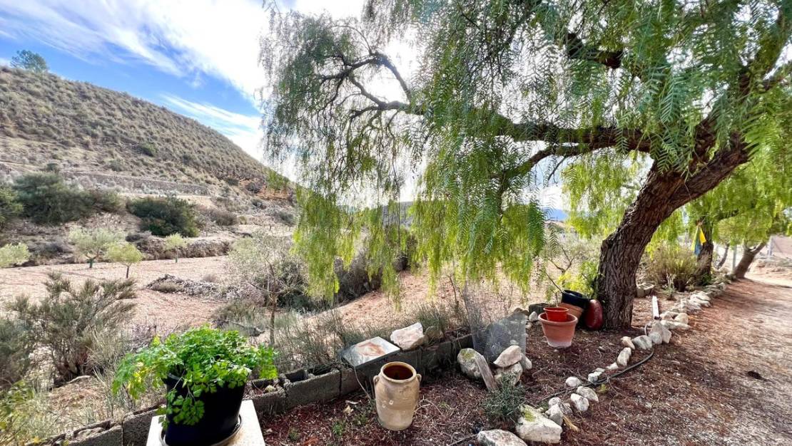 Venta - Chalet - Monóvar - Monòver - Monóvar - Monòver Centro