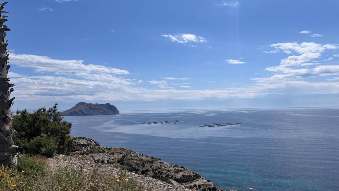 Venta - Chalet - Murcia - Águilas Centro