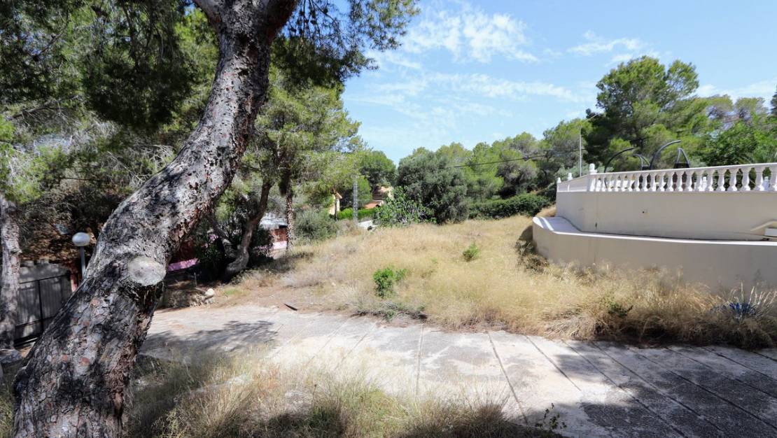 Venta - Chalet - Murcia - Cañada de San Pedro