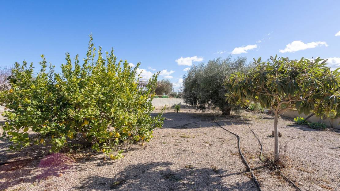 Venta - Chalet - Murcia - Corvera