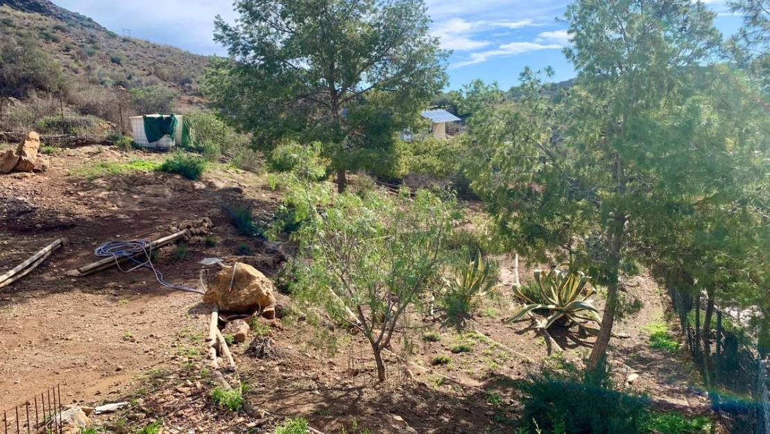 Venta - Chalet - Murcia - El Cocon