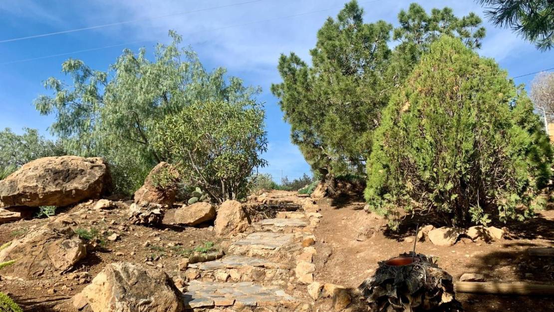 Venta - Chalet - Murcia - El Cocon