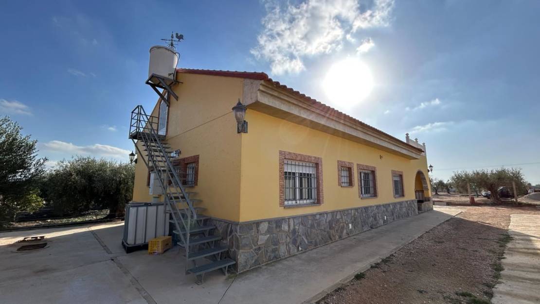 Venta - Chalet - Murcia - Fuente Álamo de Murcia