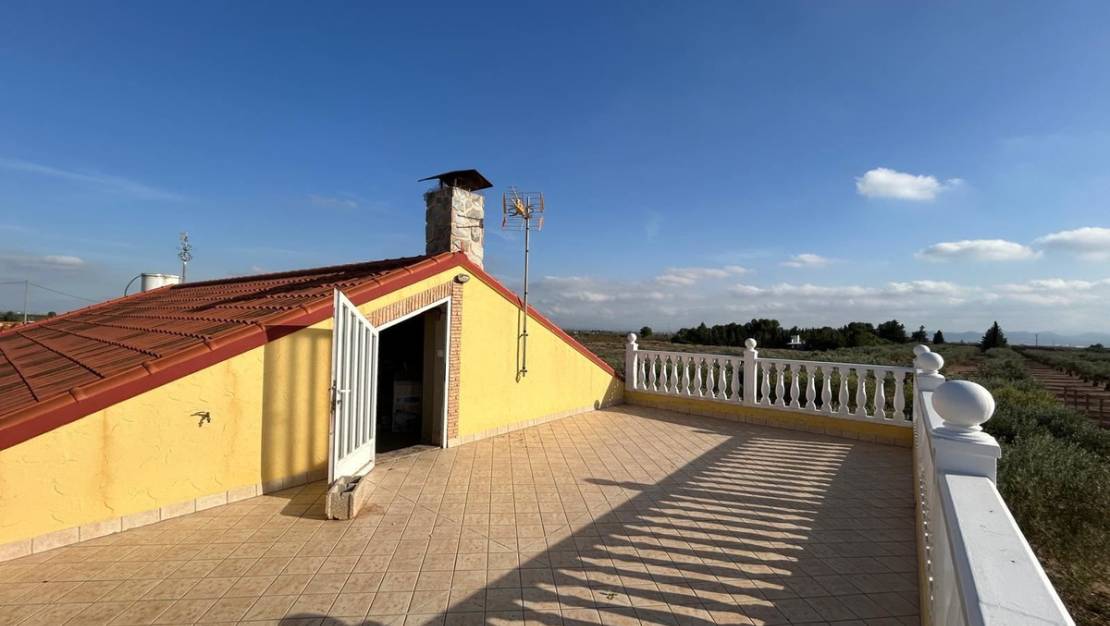 Venta - Chalet - Murcia - Fuente Álamo de Murcia