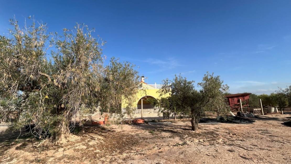 Venta - Chalet - Murcia - Fuente Álamo de Murcia