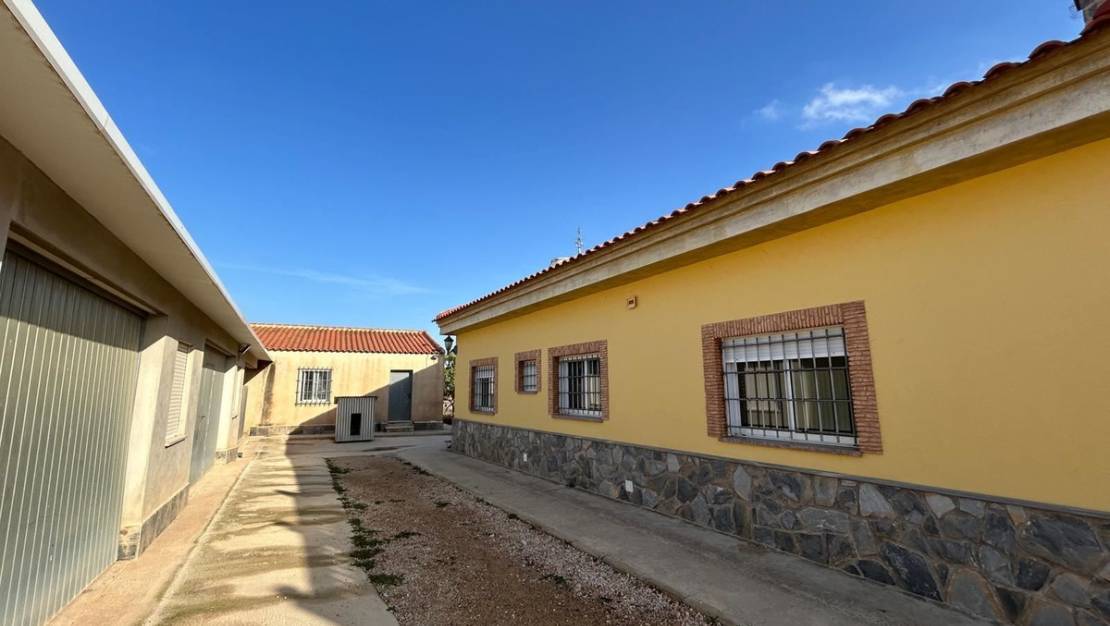 Venta - Chalet - Murcia - Fuente Álamo de Murcia