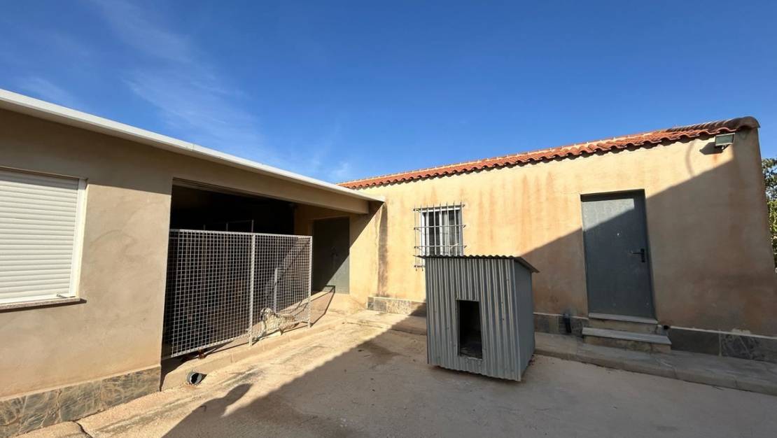 Venta - Chalet - Murcia - Fuente Álamo de Murcia