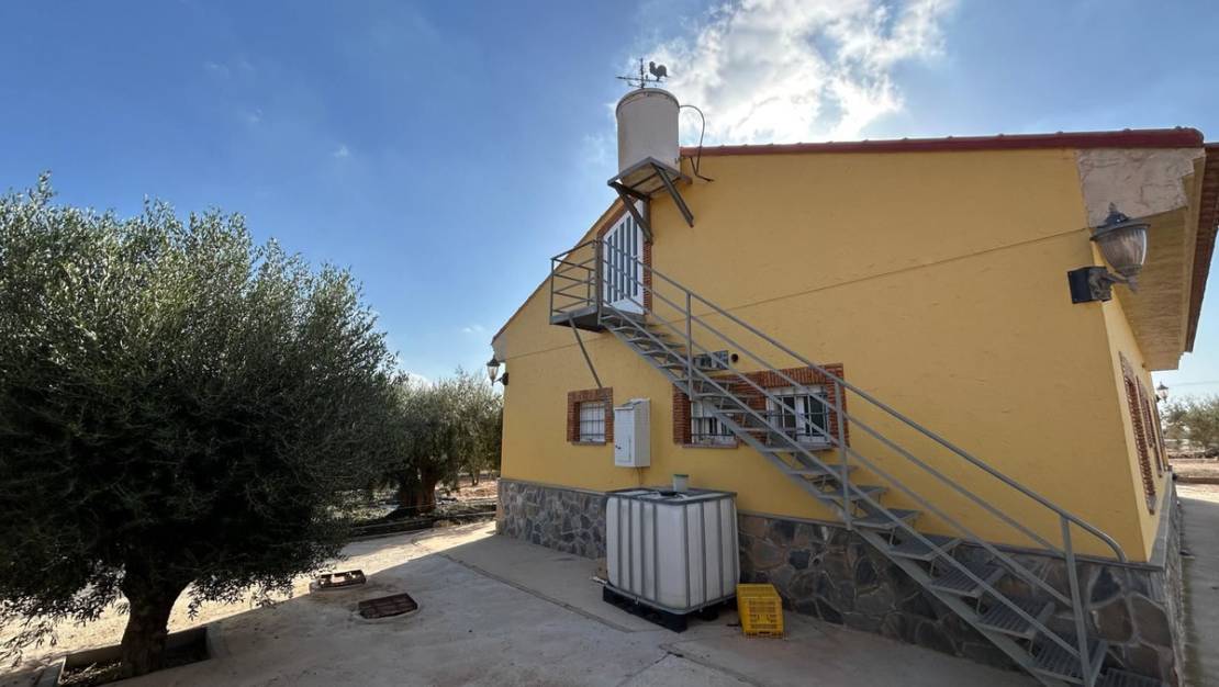 Venta - Chalet - Murcia - Fuente Álamo de Murcia