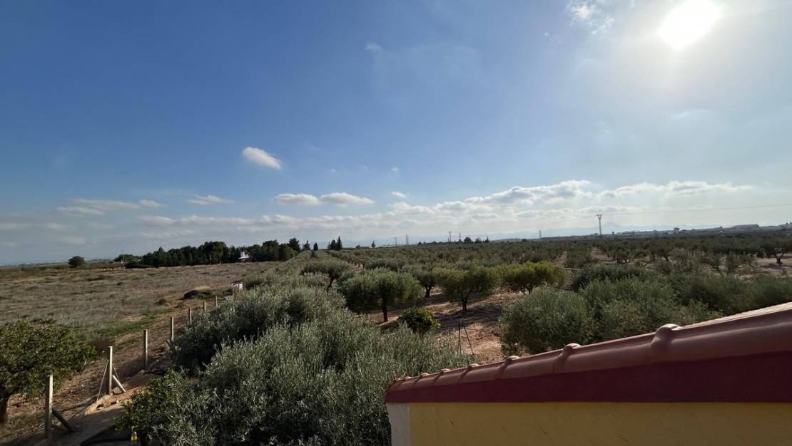 Venta - Chalet - Murcia - Fuente Álamo de Murcia