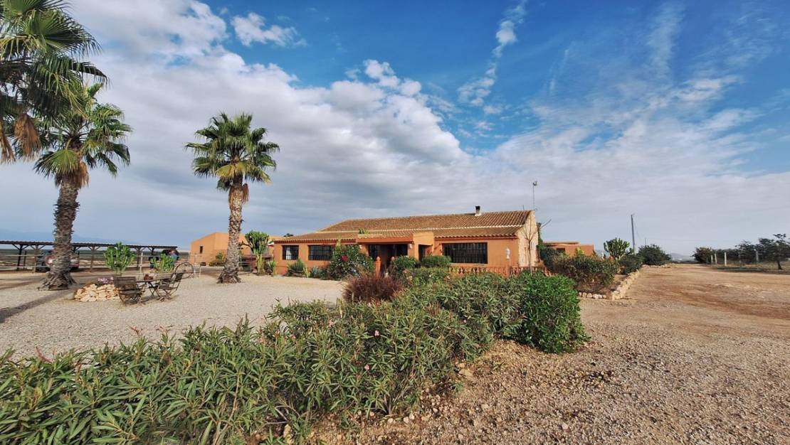 Venta - Chalet - Murcia - Fuente Álamo de Murcia