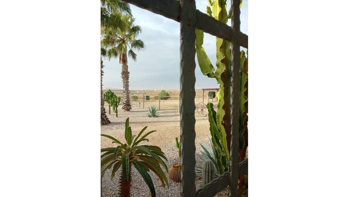 Venta - Chalet - Murcia - Fuente Álamo de Murcia