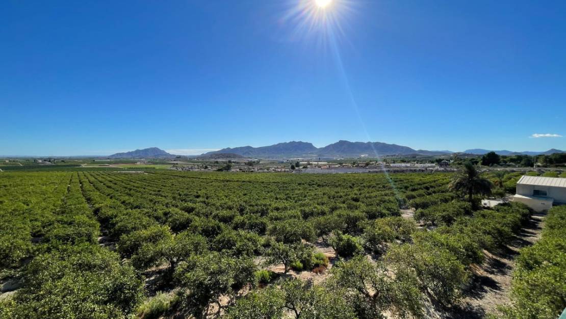 Venta - Chalet - Murcia - Murcia City