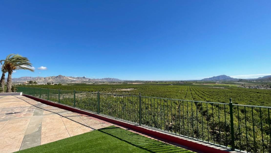 Venta - Chalet - Murcia - Murcia City