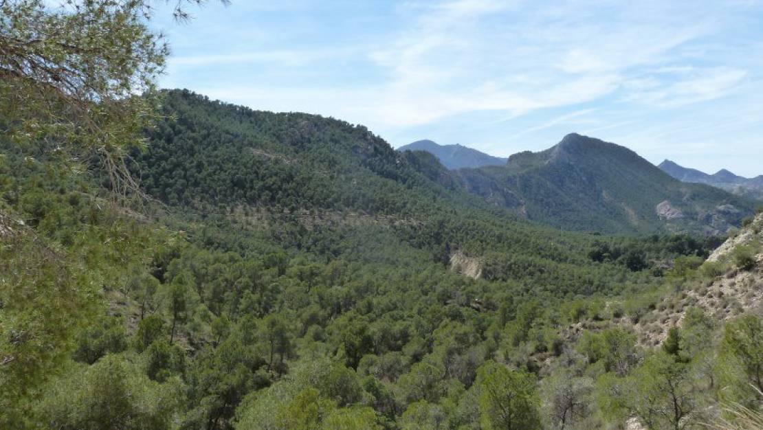 Venta - Chalet - Murcia