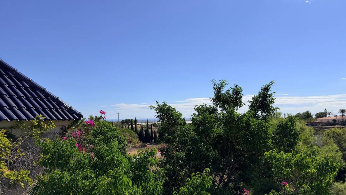 Venta - Chalet - Mutxamel - Mutxamel Centro