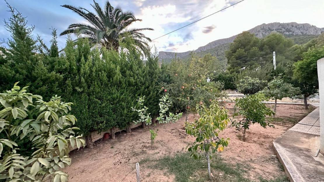 Venta - Chalet - Novelda - Estación