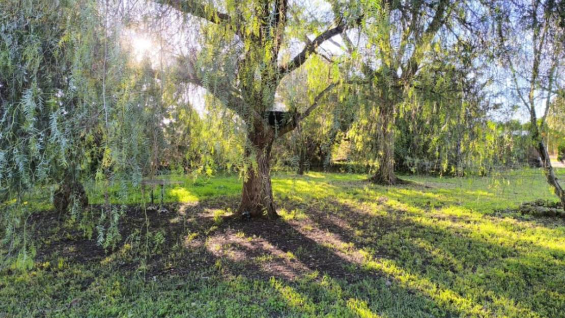 Venta - Chalet - Ondara - Ondara Centro