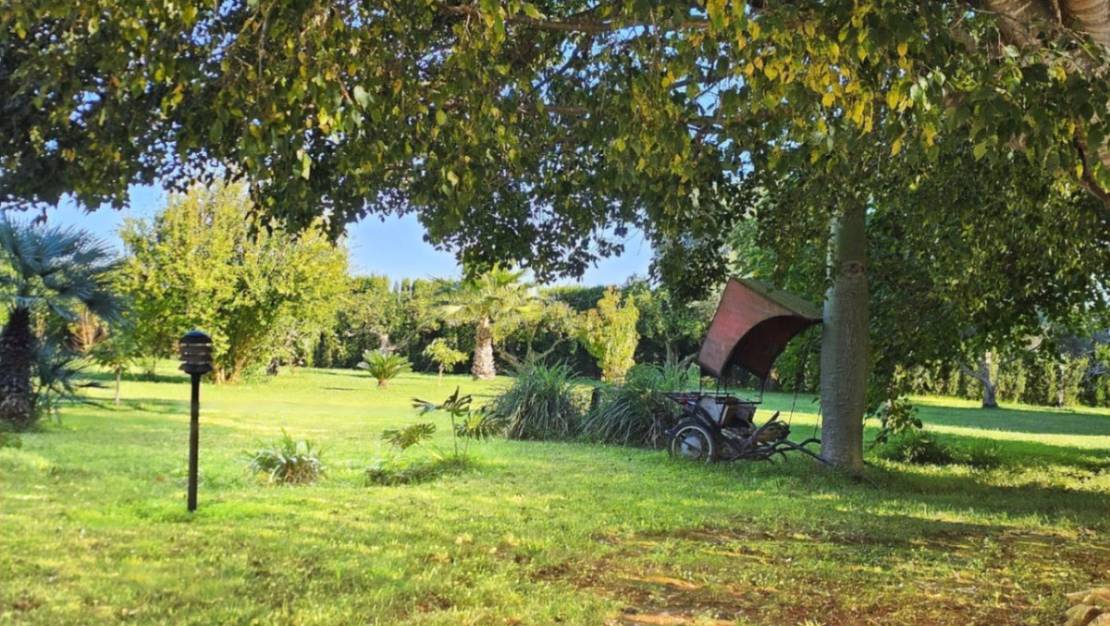 Venta - Chalet - Ondara - Ondara Centro