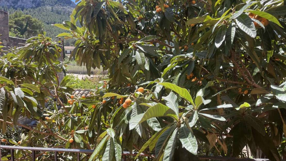 Venta - Chalet - Orba - Orba Centro