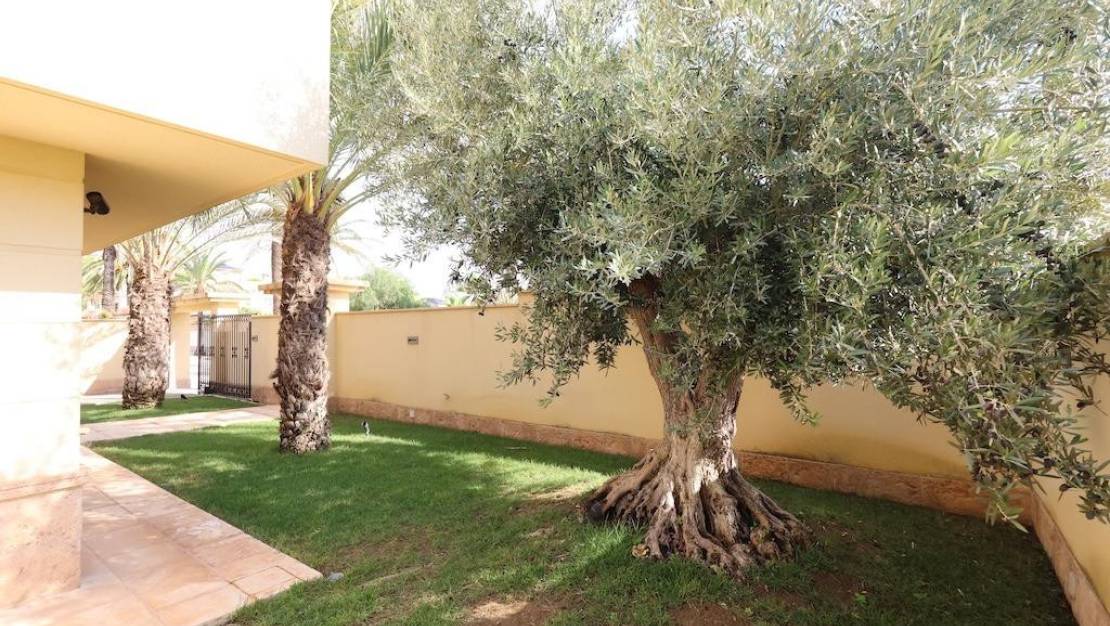Venta - Chalet - Orihuela - Cabo Roig