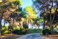 Venta - Chalet - Orihuela - Campoamor