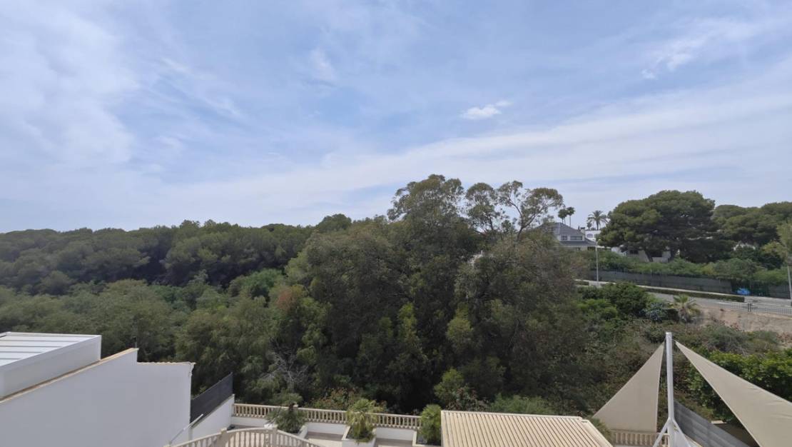 Venta - Chalet - Orihuela - Campoamor