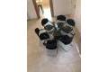 Venta - Chalet - Orihuela Costa - Cabo roig - La Zenia